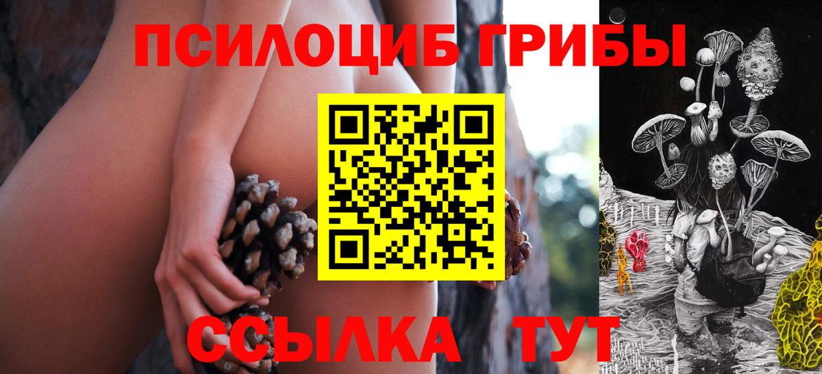 Галлюциногенные грибы Psilocybine cubensis Пушкино
