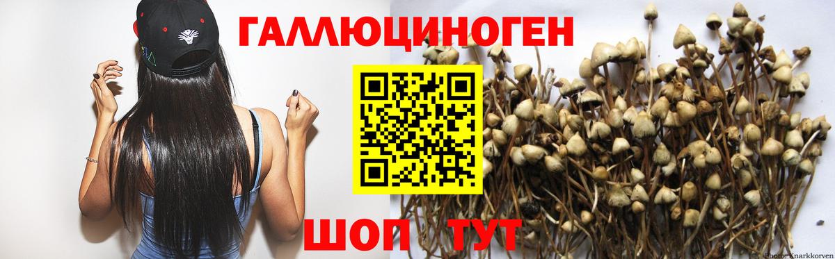 Галлюциногенные грибы мицелий  магазин продажи наркотиков  Вход с VPN  Пушкино  Галлюциногенные грибы GOLDEN TEACHER 